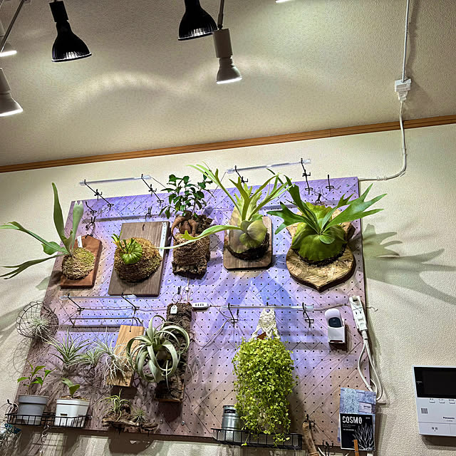 CoffeeHouseさんの実例写真