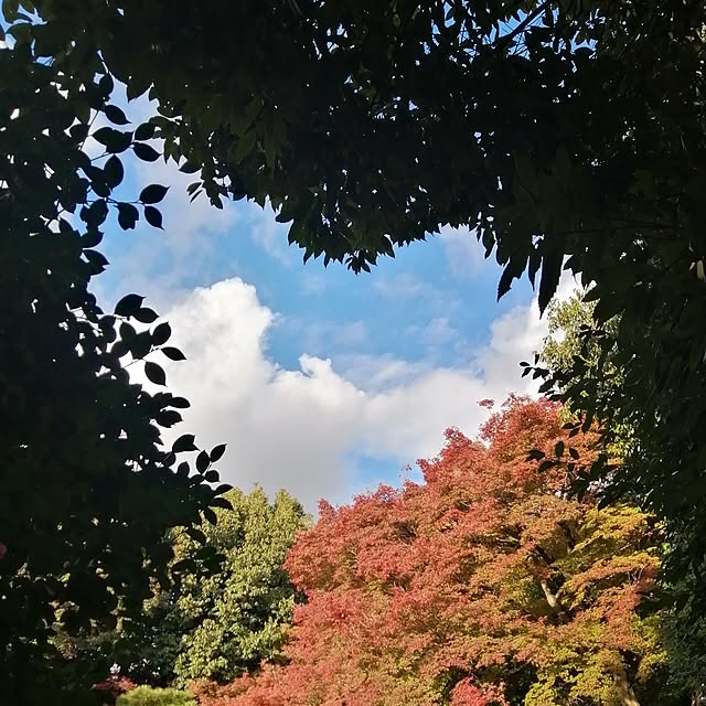 yokkoさんの部屋