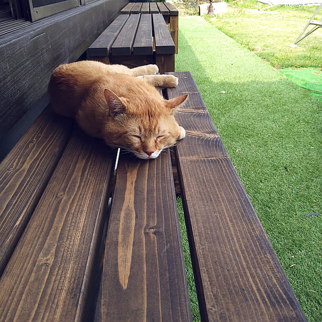 y.ebihara0811さんの実例写真