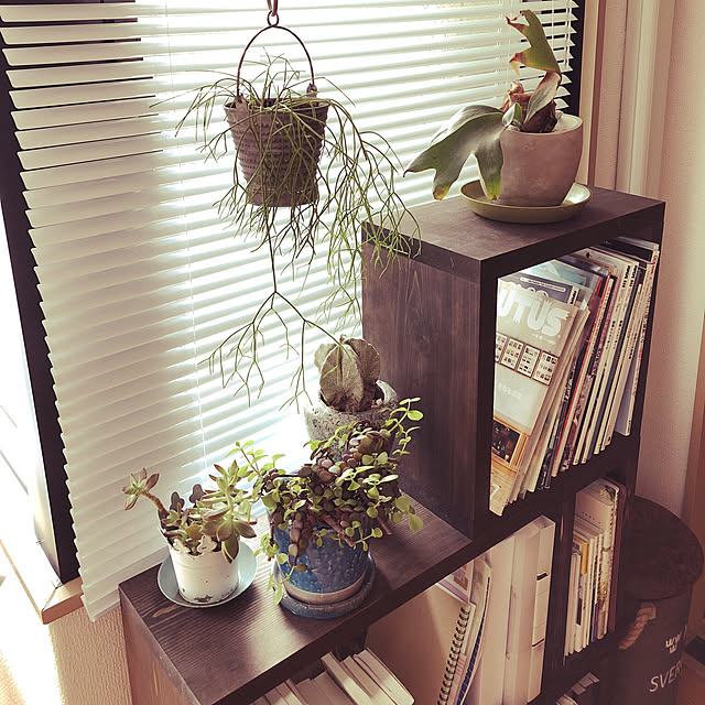 棚/植木鉢/journal standard Furnitureのインテリア実例 - 2018-05-19 12:04:13