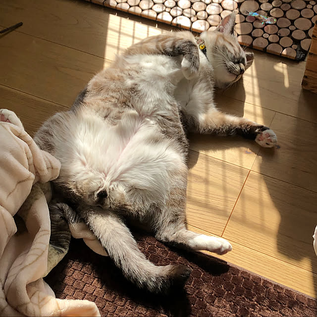 8717さんの実例写真