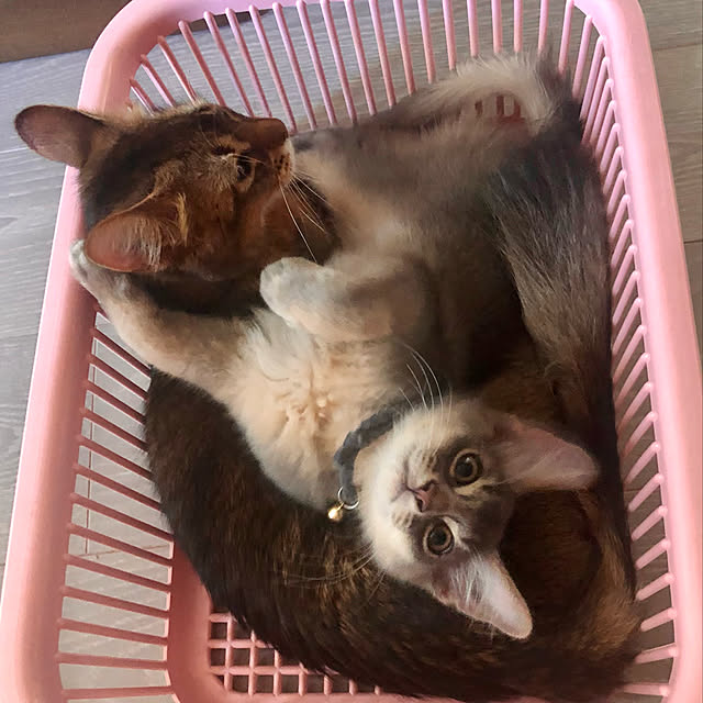 paradise_viewさんの実例写真