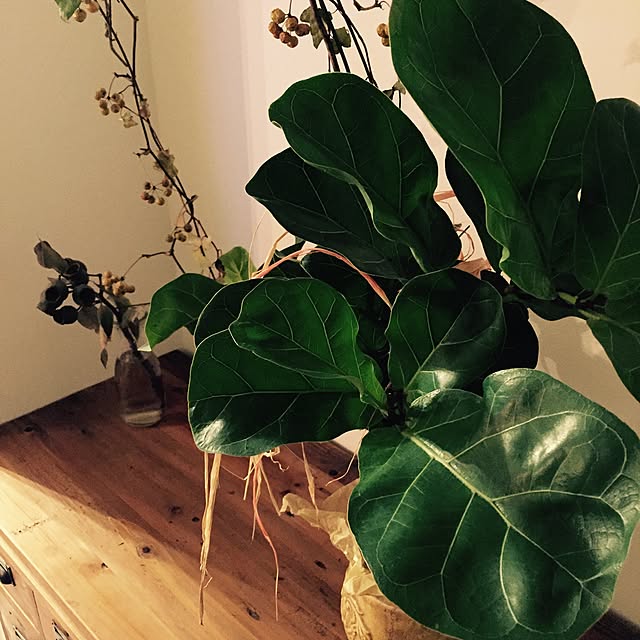 GreenWorksさんの実例写真