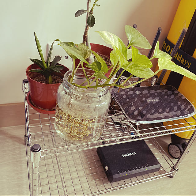 hoiYanGardenさんの実例写真