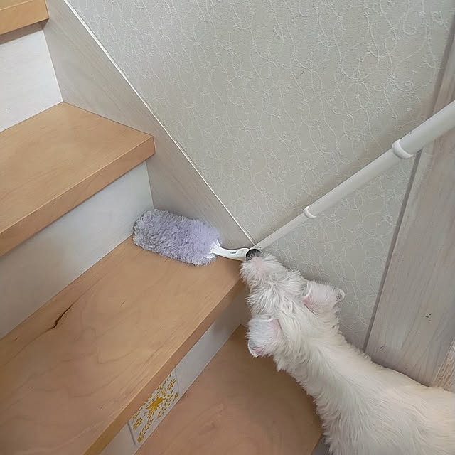 mio_ibu_1106さんの実例写真