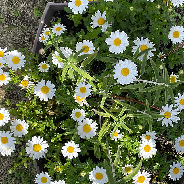 Happyさんの部屋