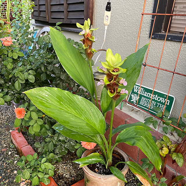 shin0719さんの部屋