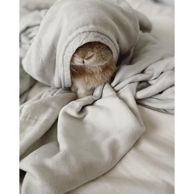 chiiiii0808さんの実例写真