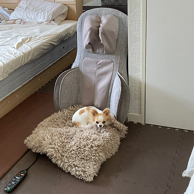toratanさんの実例写真