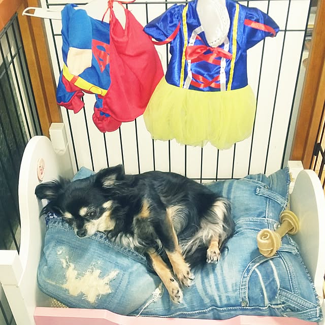 haruharuさんの実例写真