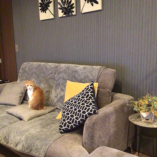 houenさんの部屋