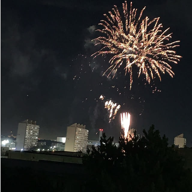 syutmmさんの実例写真