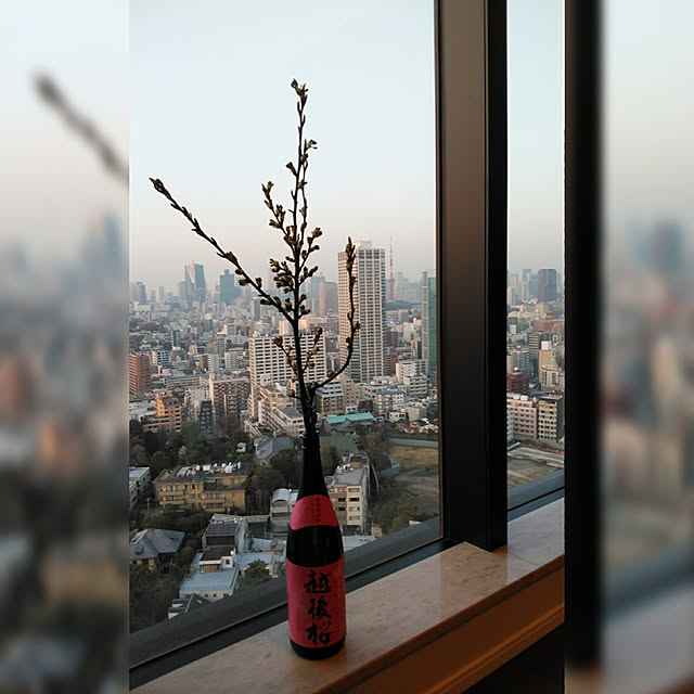 okapinさんの実例写真
