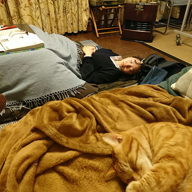 okyosan101さんの実例写真