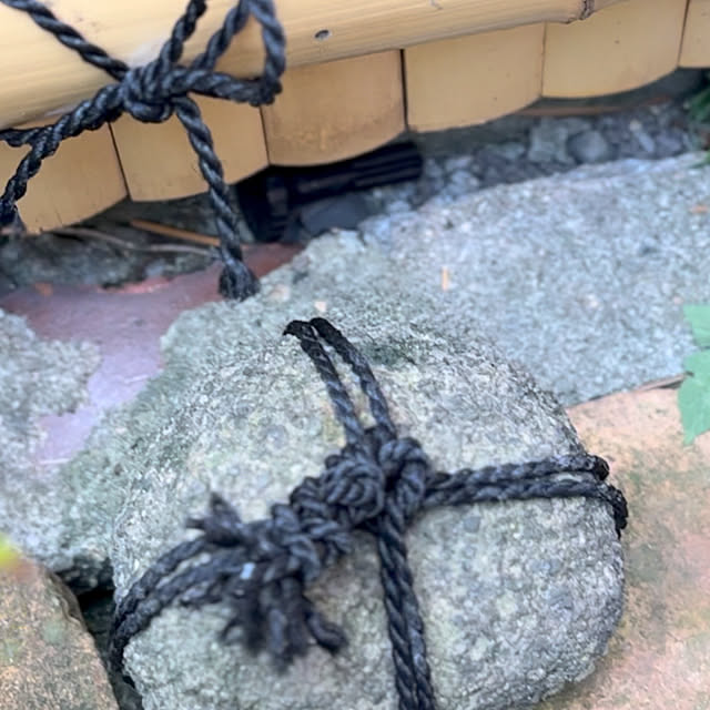 faunさんの部屋
