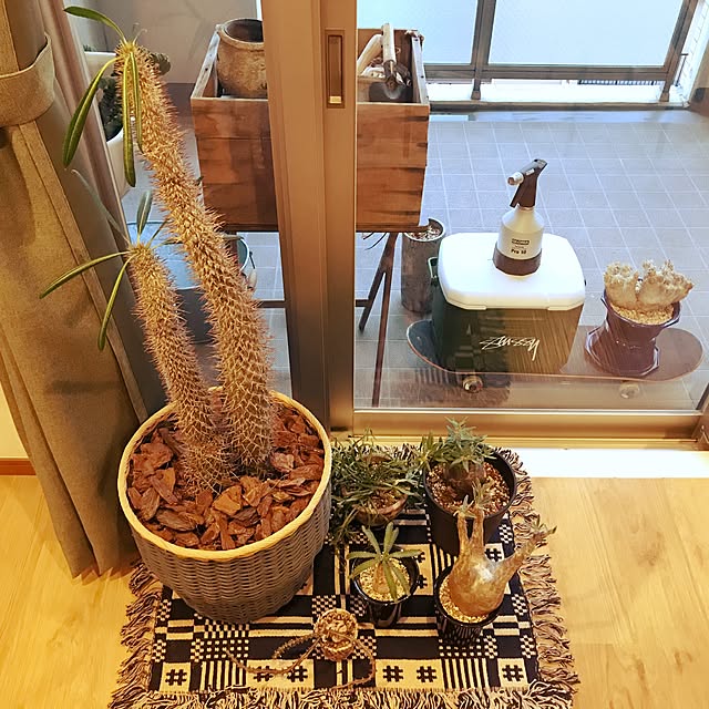 taichiさんの実例写真