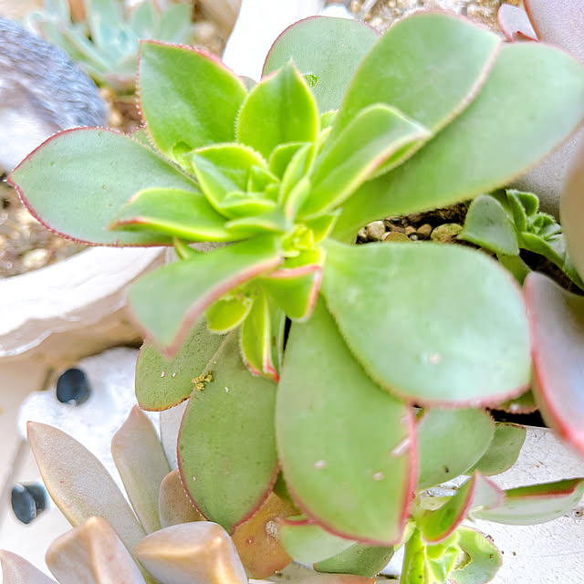 eriharuさんの部屋