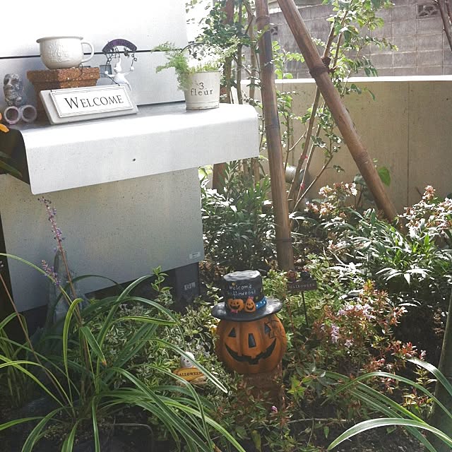 hakutaaanさんの実例写真