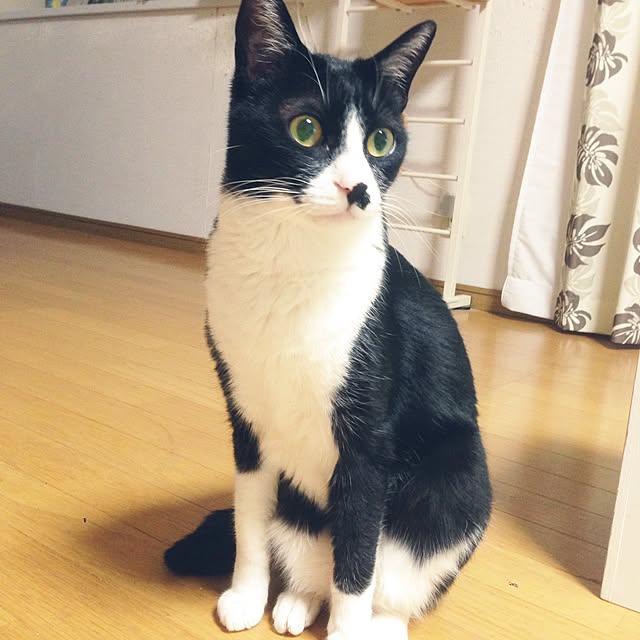 Kinanさんの実例写真