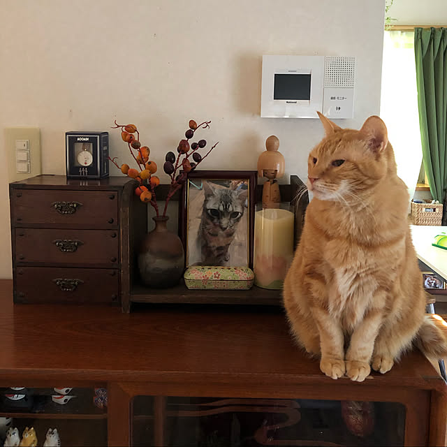 junbuさんの実例写真
