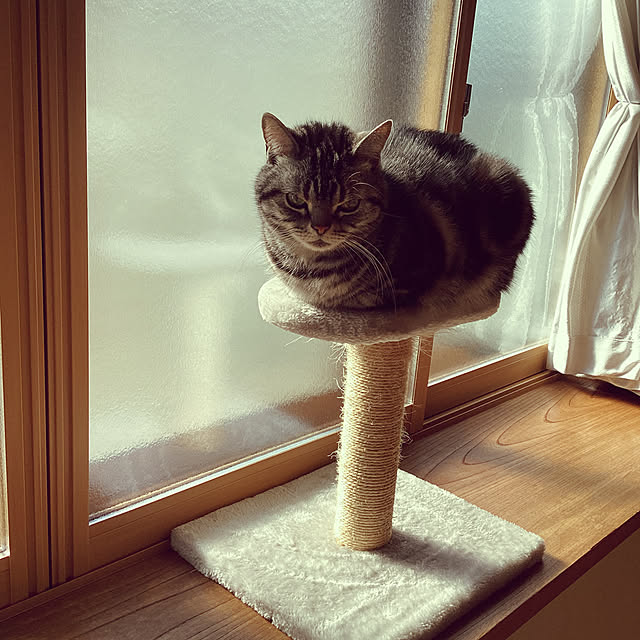 richanさんの実例写真