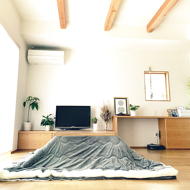 わが家の暖房器具・ストーブ/ぐりーんと暮らす/観葉植物/木のある暮らし/ドライフラワー...などのインテリア実例 - 2022-01-16 09:20:46