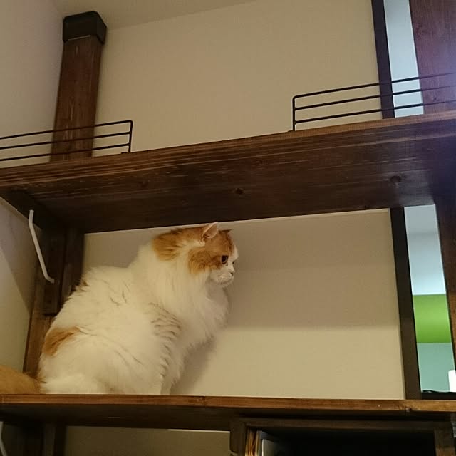 1ldksさんの実例写真