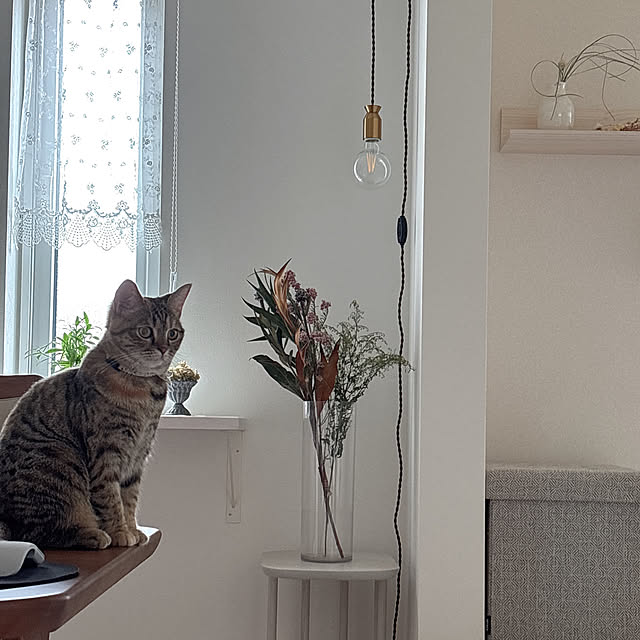 miyu39さんの実例写真