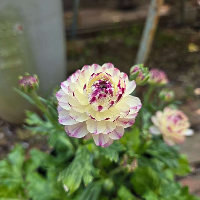 min_nimさんの実例写真