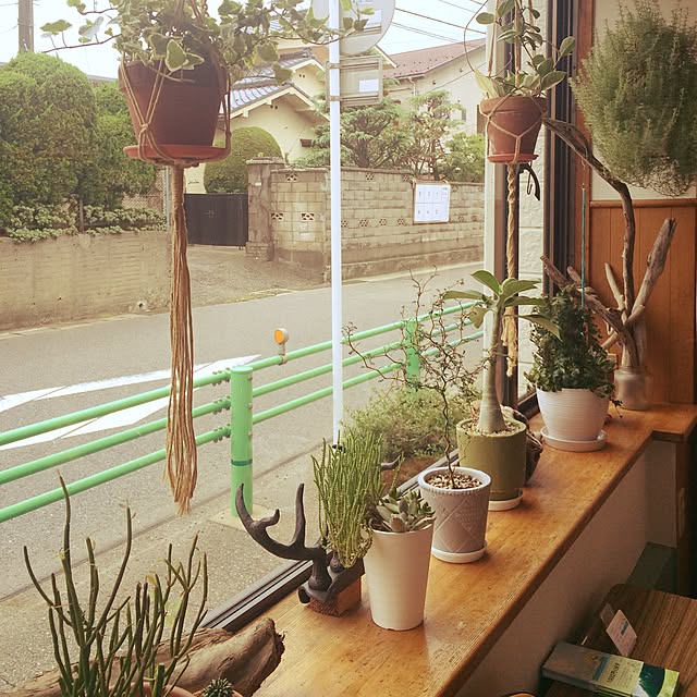 uresikaさんの実例写真