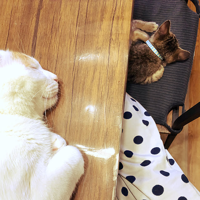 emiさんの実例写真