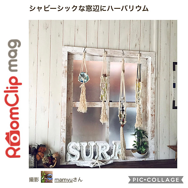 mamyuさんの実例写真