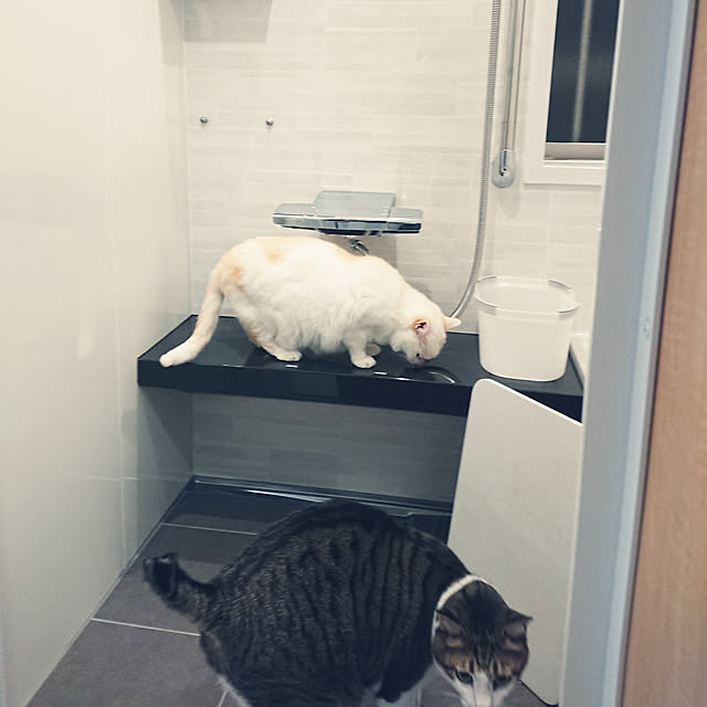 nachiさんの実例写真
