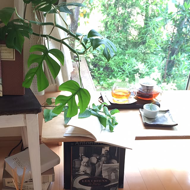 jasmine-roseteaさんの実例写真