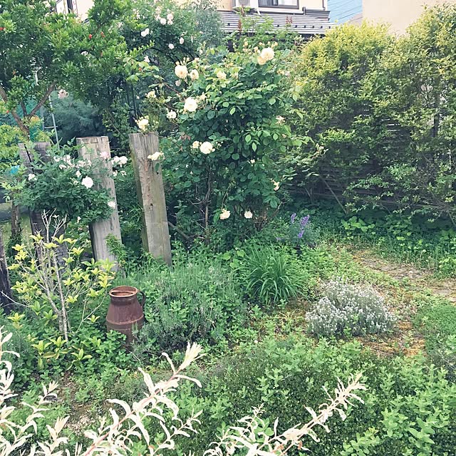 caolinpanさんの実例写真