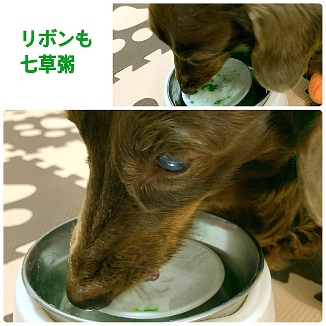 eshinobumさんの実例写真