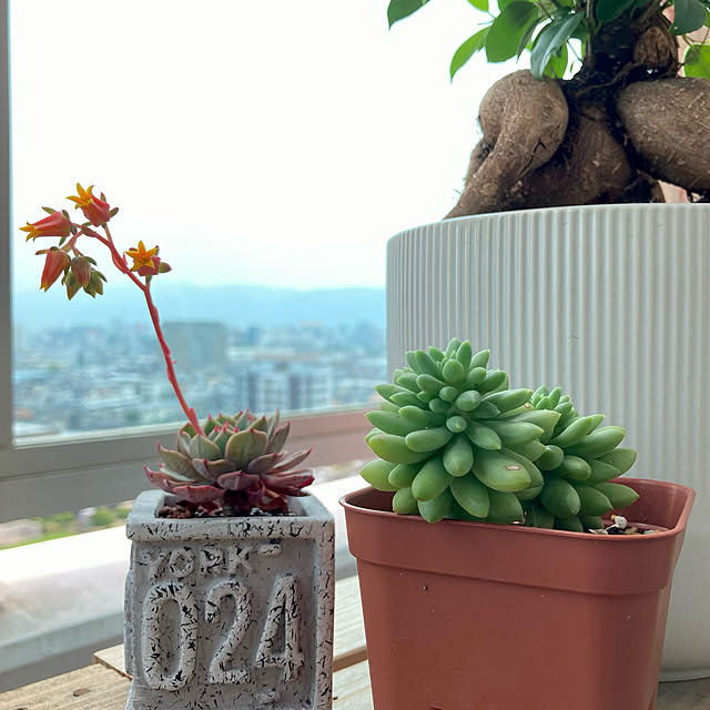 tytn812さんの実例写真