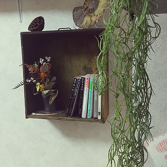 Hirokiさんの実例写真