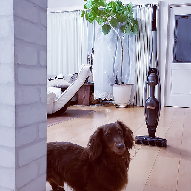 puritan_rさんの実例写真
