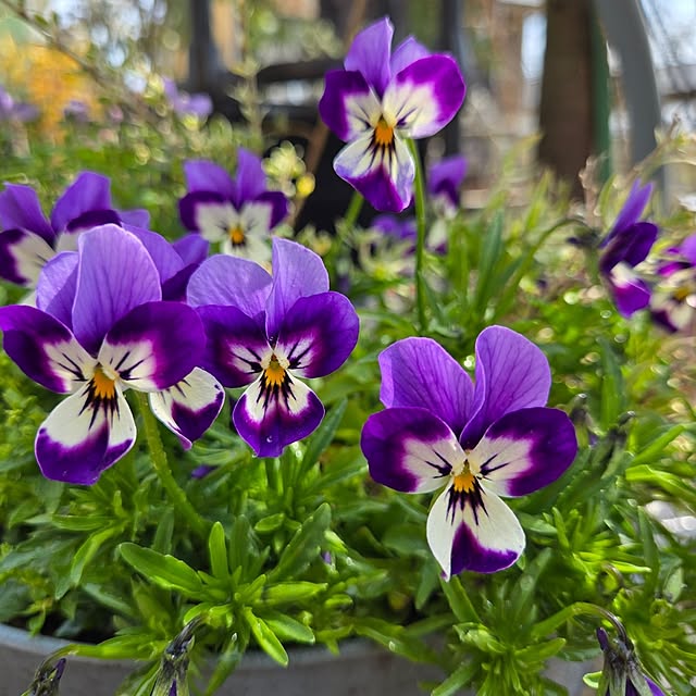 min_nimさんの部屋