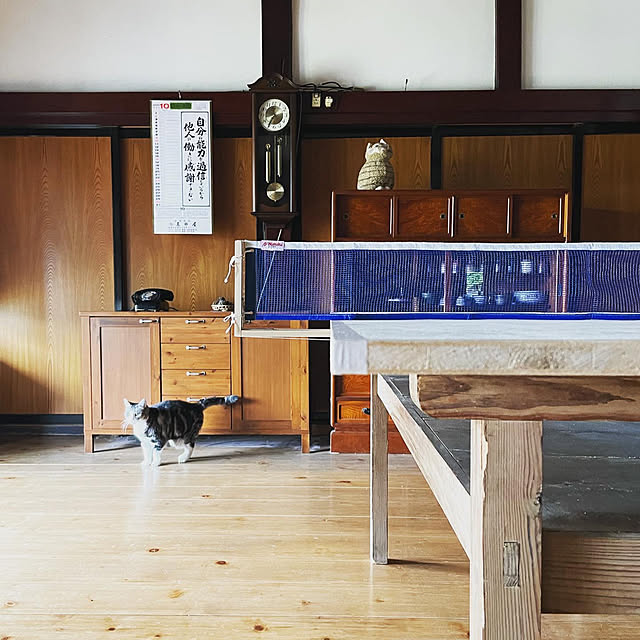 dragontaro_countryさんの部屋