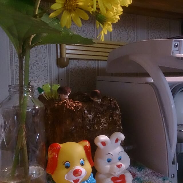 kikuさんの実例写真