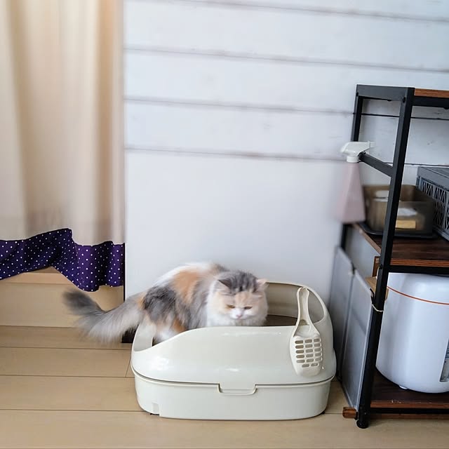 hiromi0302さんの実例写真