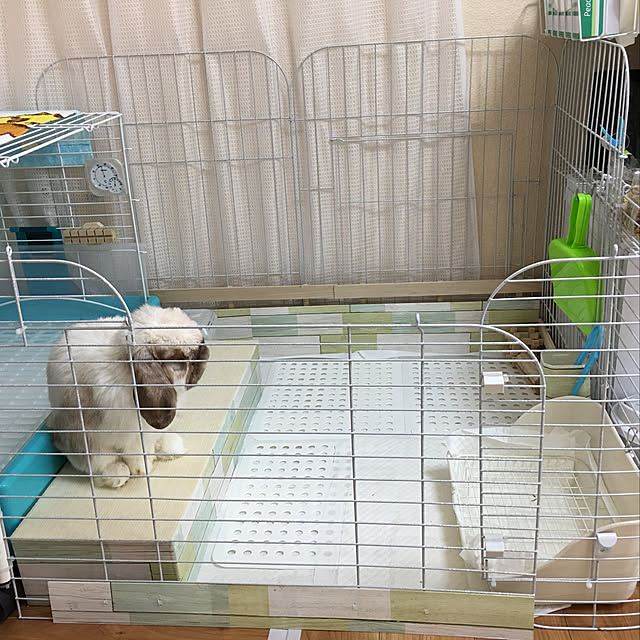 FUさんの実例写真