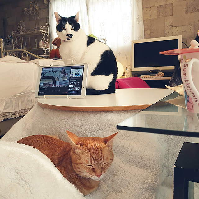 asuminさんの実例写真