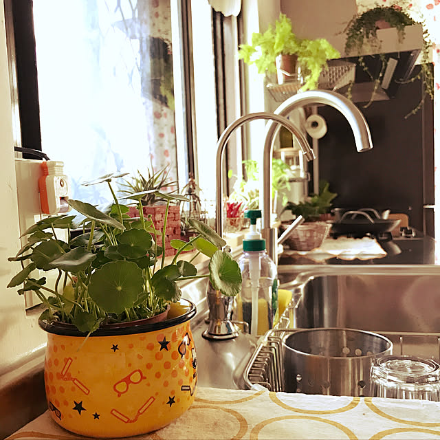 xaioさんの実例写真