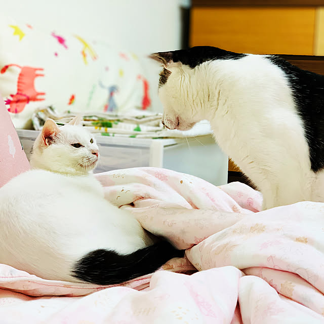 pcu110さんの実例写真