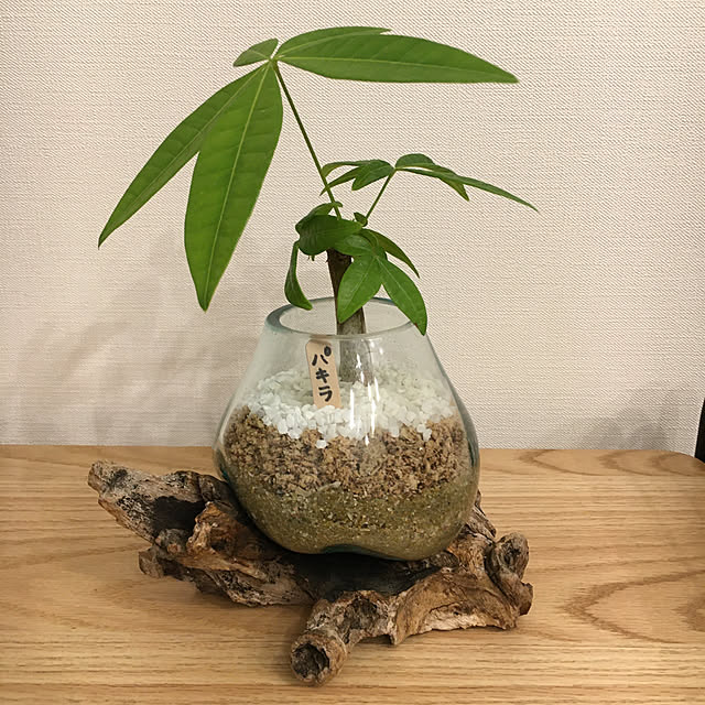 risachuさんの実例写真