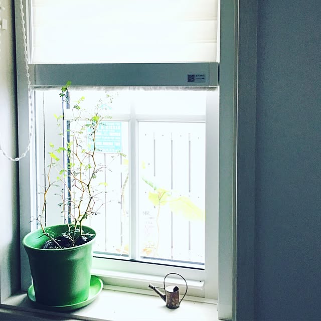 pocoさんの実例写真