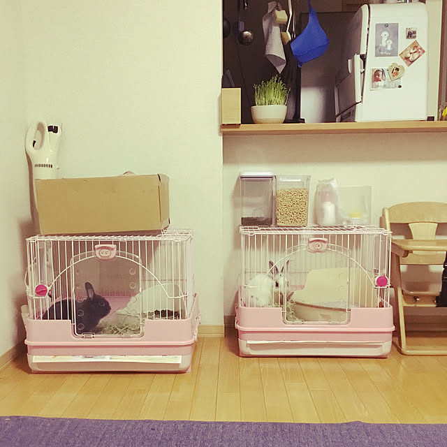 yumiffyさんの実例写真